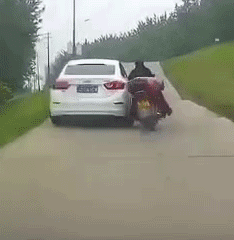 全网点赞!“黑衣女侠”太勇了!