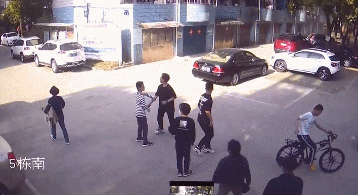 这群少年,被狠狠表扬!