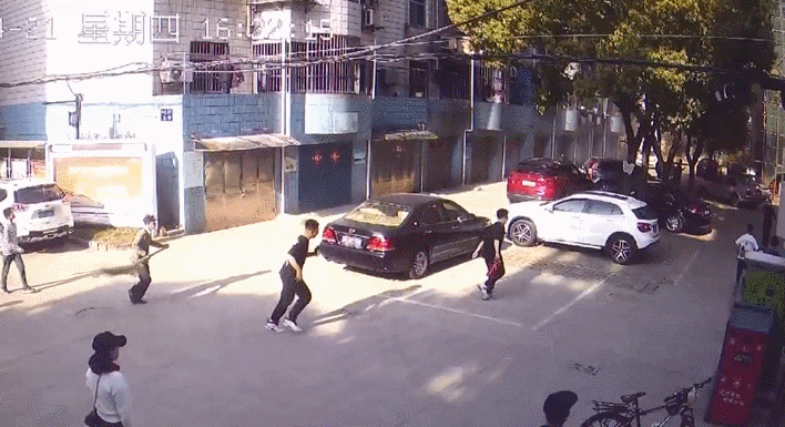 这群少年,被狠狠表扬!