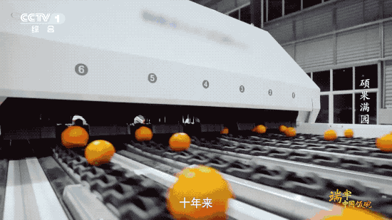 水果产量稳居世界第一，这是中国人创造的“水果奇迹”！