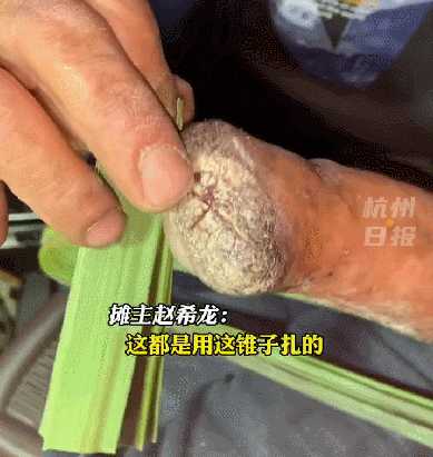 这个摊位占“C位”！看到他的手，网友绷不住了...