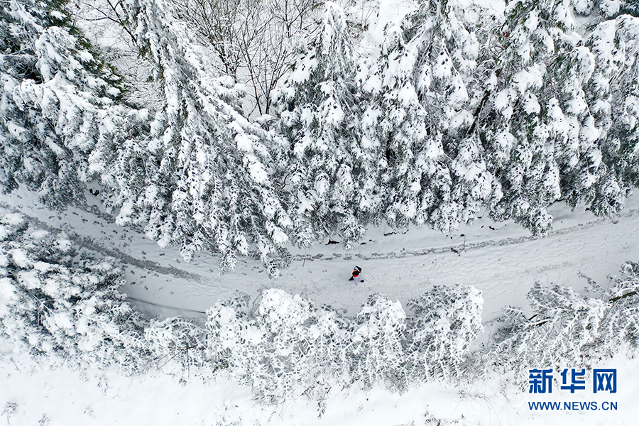 【新春走基层】雪地里的另一抹白 高山女村医在路上