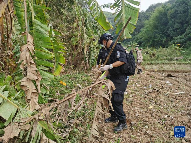 东航一架客机坠毁 民航局已启动应急机制