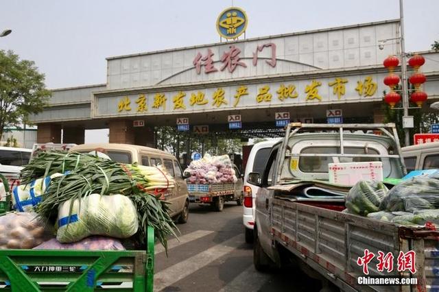 囤菜北京人：草率了！新鲜菜每天都能买到