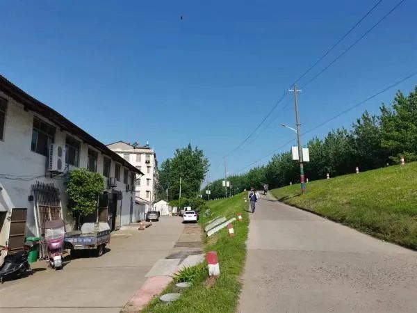 全网点赞!“黑衣女侠”太勇了!