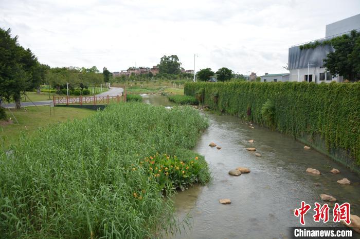 广西南宁沙江河“蜕变”：臭水沟变花园 水质堪比矿泉水