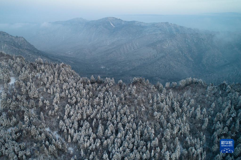 陕西宁陕：守护秦岭绿色 建设多彩田园