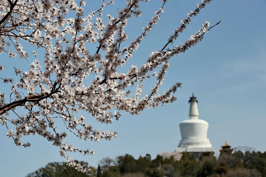 春分 | 春已至 花已开 莫负好春光！