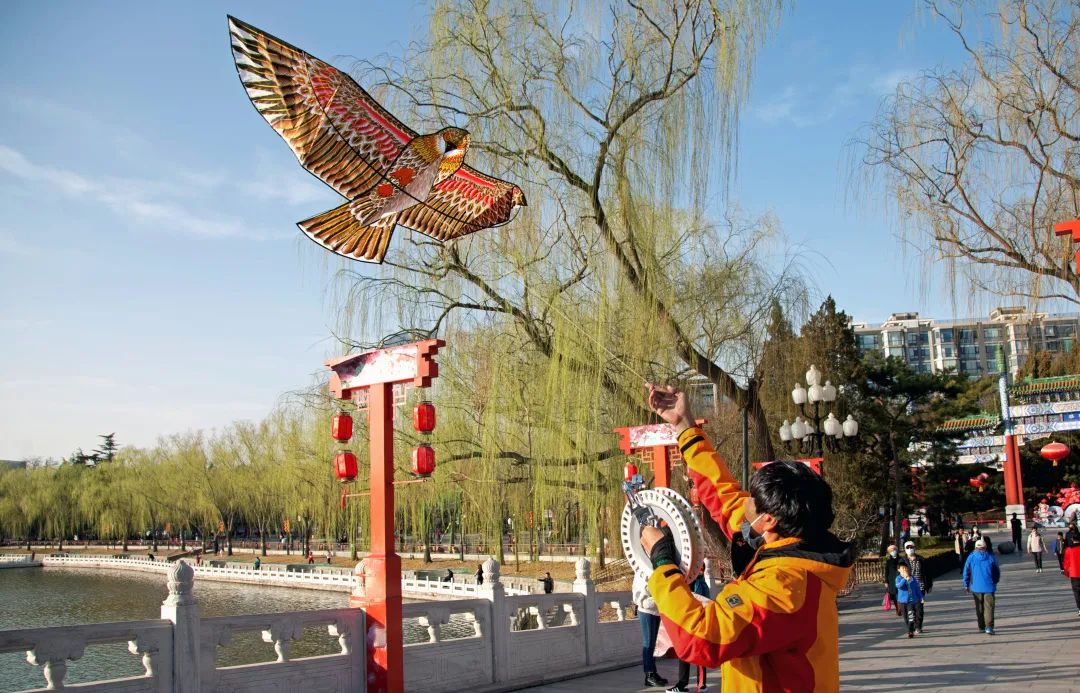 春分 | 春已至 花已开 莫负好春光！