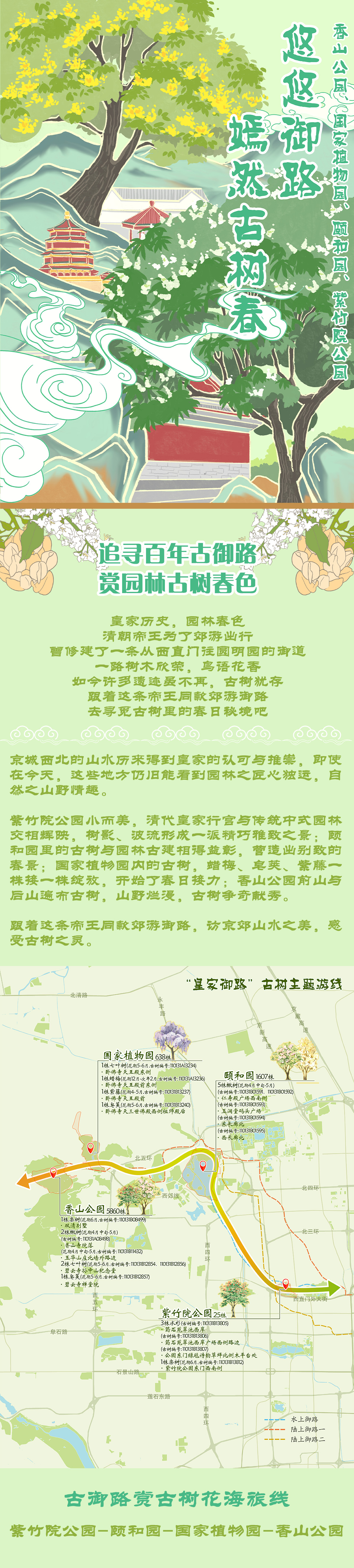 北京发布4条春季古树主题游览路线
