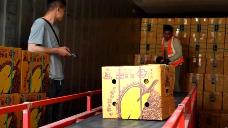 “水果”班列接连入境！你要的“榴莲自由”快来啦！