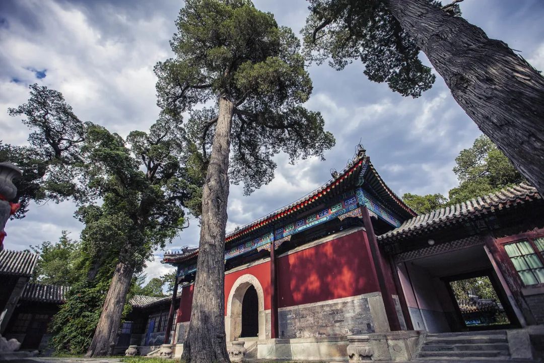 慢直播来了！俯瞰香山，互动抽奖，提前嗨过五一~