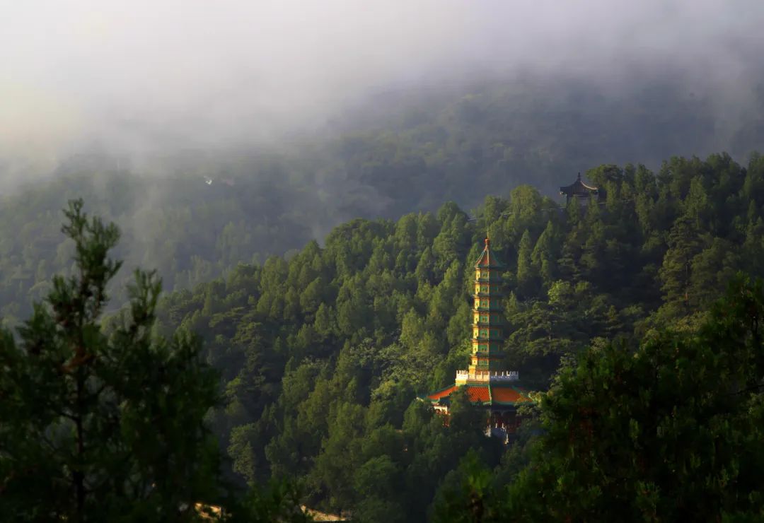 慢直播来了！俯瞰香山，互动抽奖，提前嗨过五一~