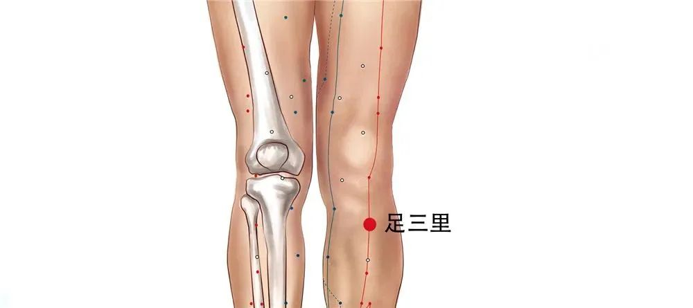 中医针灸为何能够“针”服全球？