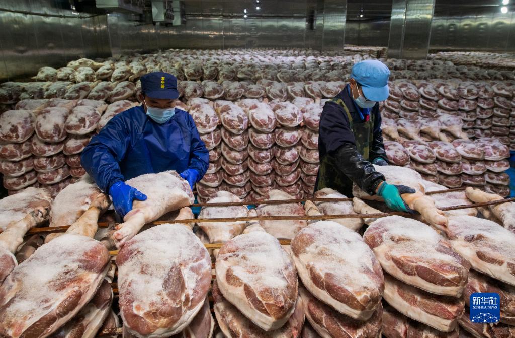 金华火腿进入腌制季