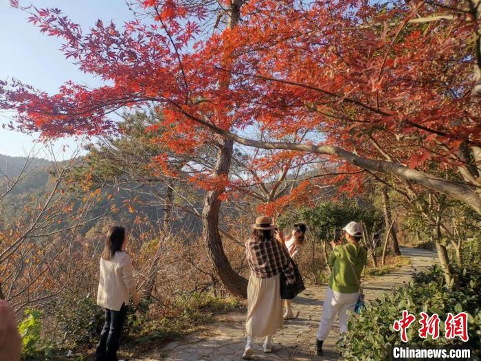 武汉黄陂木兰清凉寨：初冬叶斑斓 风景美如画