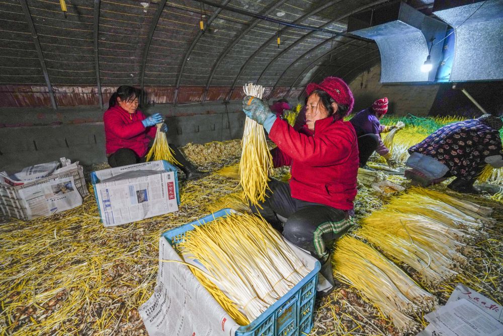 新华全媒＋丨多措并举应对低温雨雪冰冻天气