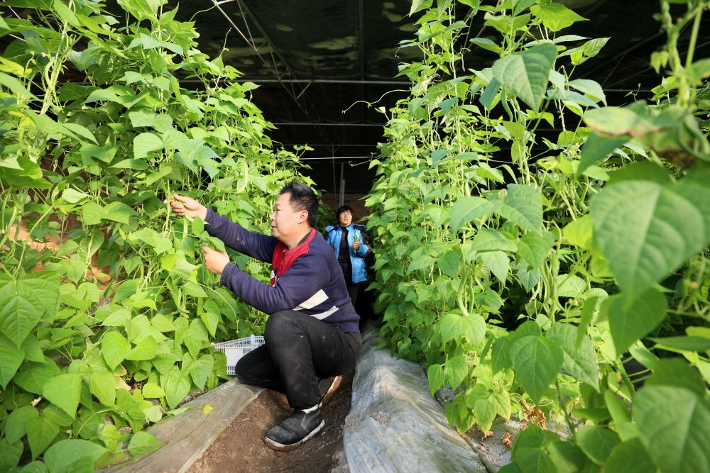 新华全媒＋丨多措并举应对低温雨雪冰冻天气