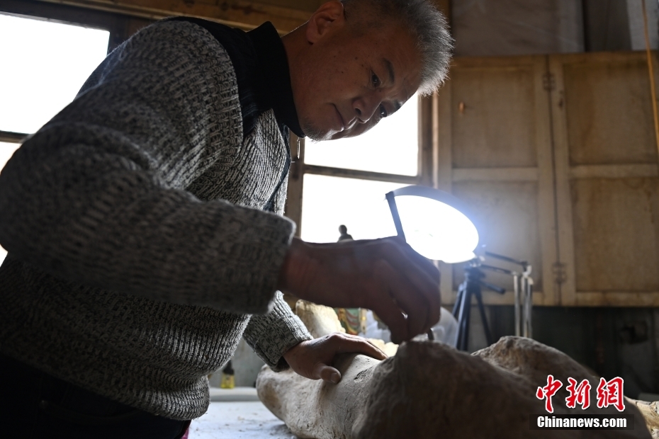 探秘古生物化石修复：“高冷”职业遇传承瓶颈