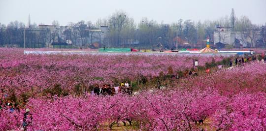 文旅干部，打一场流量遭遇战