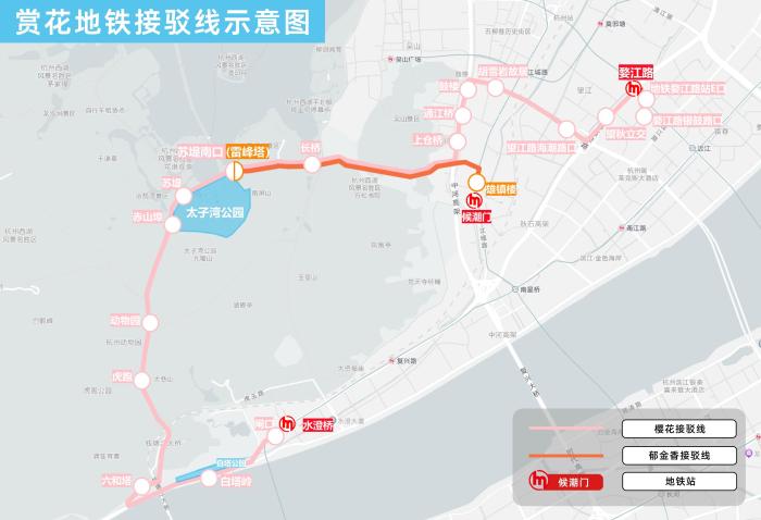 春来芳菲至 杭州公交推出多条“赏花线路”