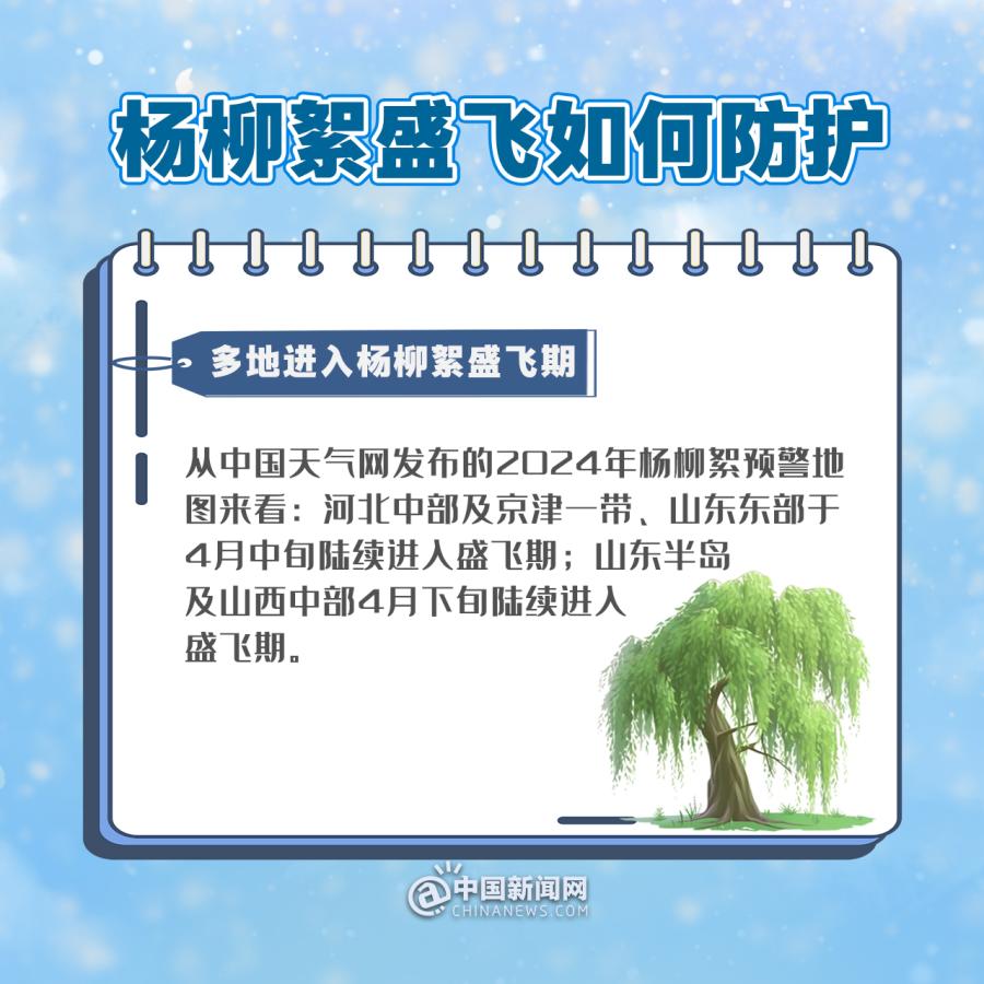 多地进入杨柳絮盛飞期，公众该如何防护？