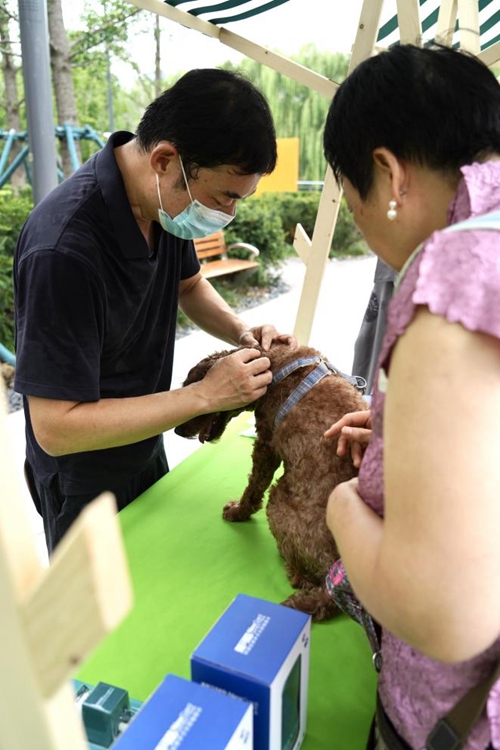 第五届“文明养犬在行动”主题宣传实践活动走进北京市朝阳区麦子店街道