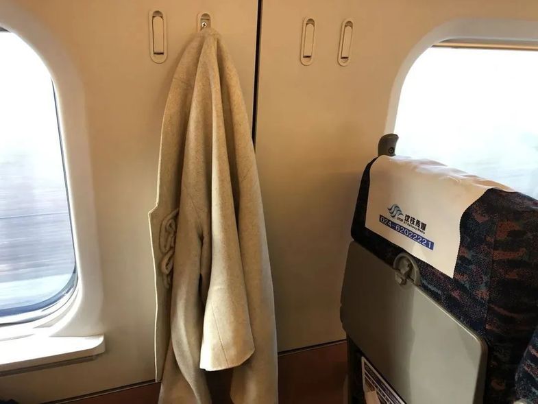 高铁列车上,行李应该怎么放?