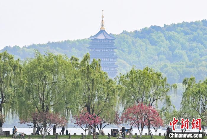 杭州西湖桃红柳绿春景如画 杭州西湖桃红柳绿春景如画