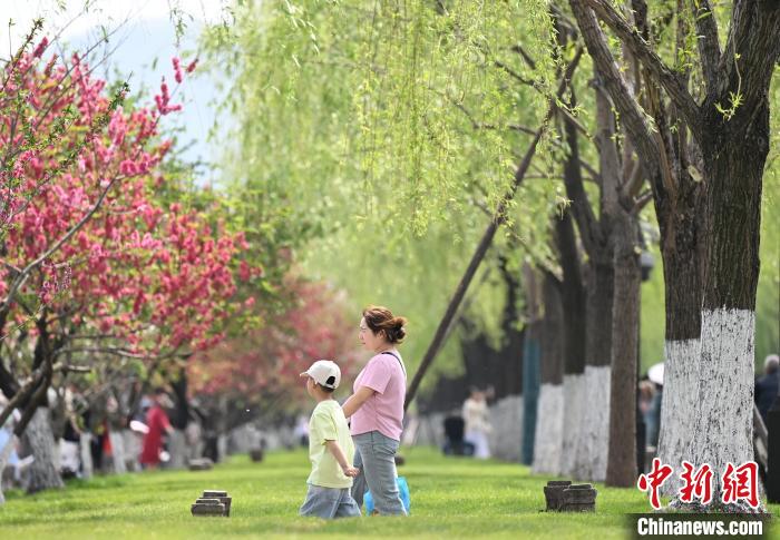 杭州西湖桃红柳绿春景如画