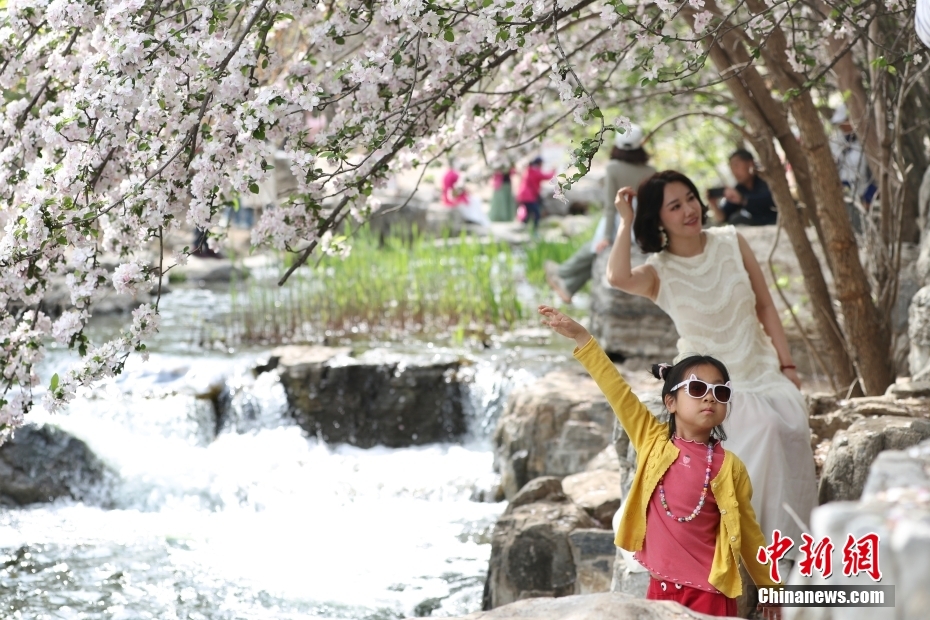 北京奥森公园溪畔海棠引游客