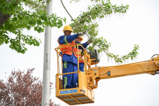 北京:多项黑科技助力杨柳飞絮防治 北京:多项黑科技助力杨柳飞絮防治