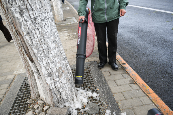 北京:多项黑科技助力杨柳飞絮防治 北京:多项黑科技助力杨柳飞絮防治