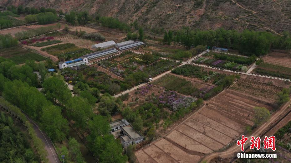 探访中国首个丁香国家林木种质资源库 探访中国首个丁香国家林木种质资源库