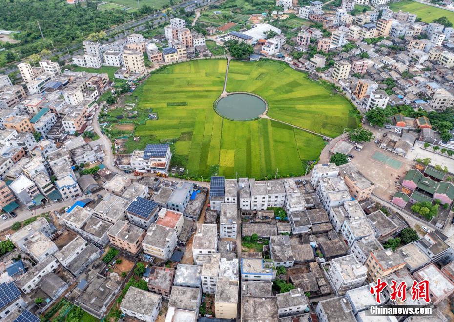 航拍海口“太极村”：400年古村落巧筑“大地时钟”