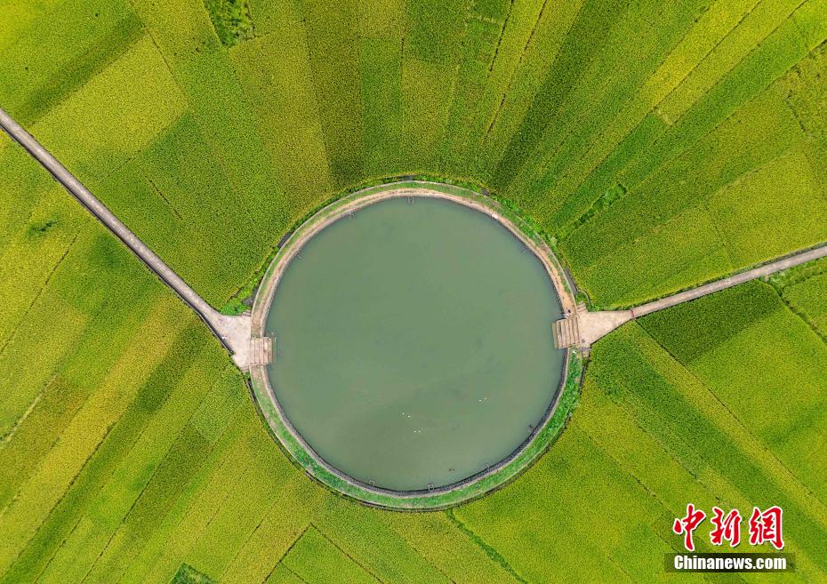 航拍海口“太极村”：400年古村落巧筑“大地时钟”