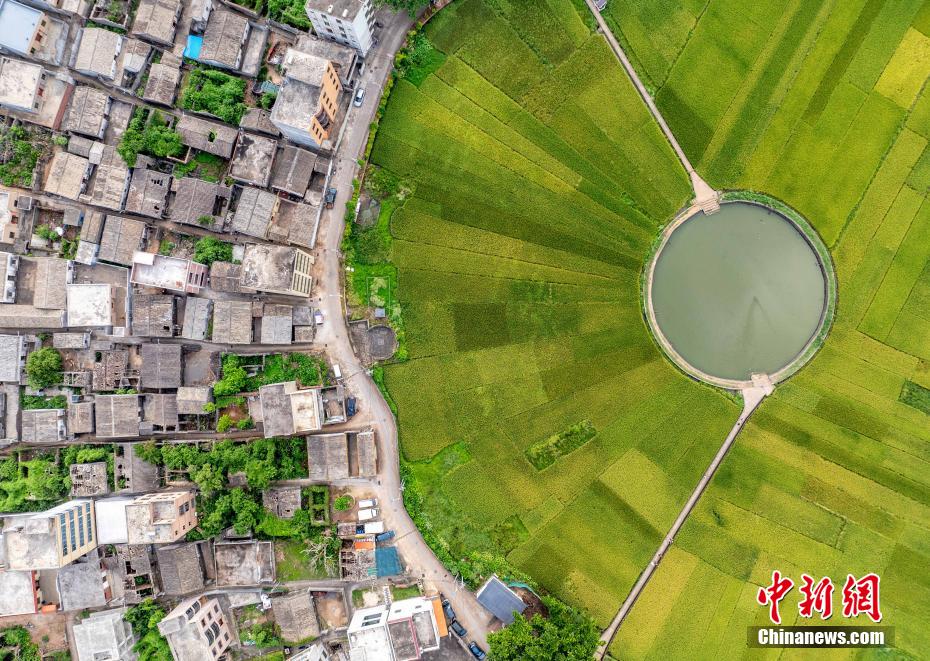 航拍海口“太极村”：400年古村落巧筑“大地时钟”