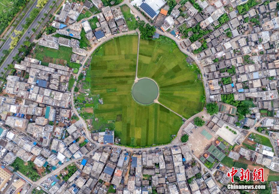 航拍海口“太极村”：400年古村落巧筑“大地时钟”