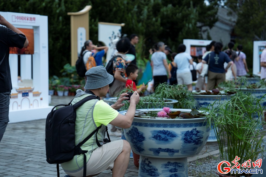 红墙映粉荷 北海公园荷花展把夏天染成了诗