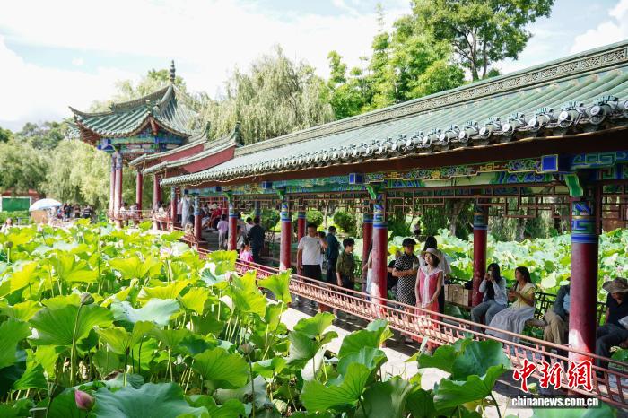 游客打卡“春城”昆明 感受夏日清凉魅力 游客打卡“春城”昆明感受夏日清凉魅力