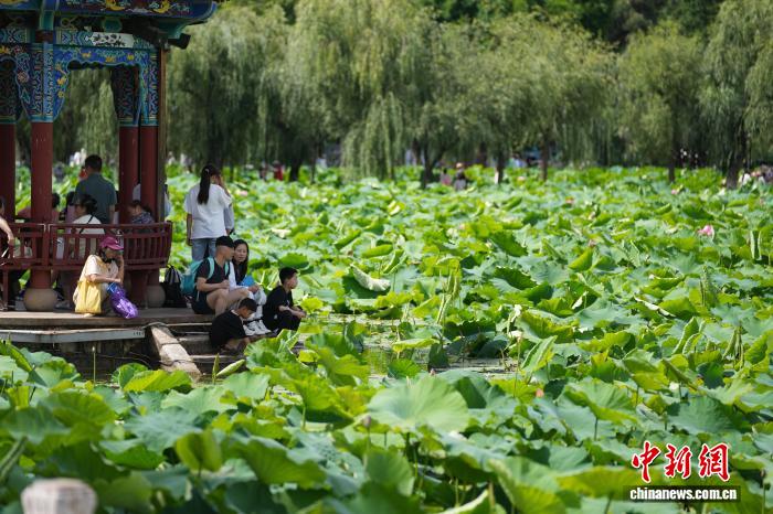 游客打卡“春城”昆明 感受夏日清凉魅力