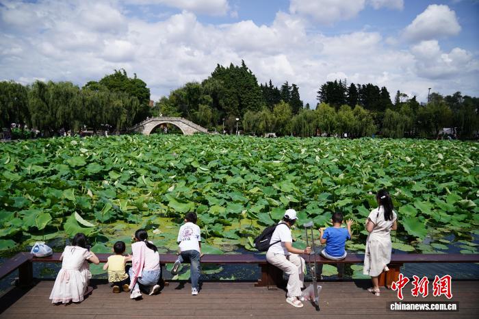 游客打卡“春城”昆明 感受夏日清凉魅力