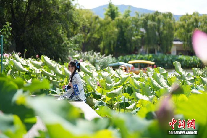 游客打卡“春城”昆明 感受夏日清凉魅力