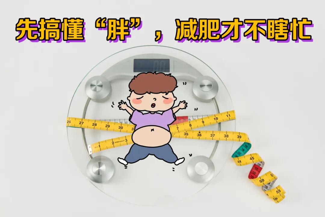 减肥真的没那么难!国家背书的“健康体重管理百科”刷3遍,我终于瘦了! | 科学减重一起来