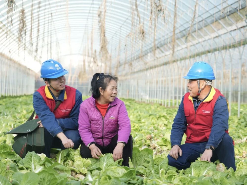 寒潮持续 多地多措并举保民生