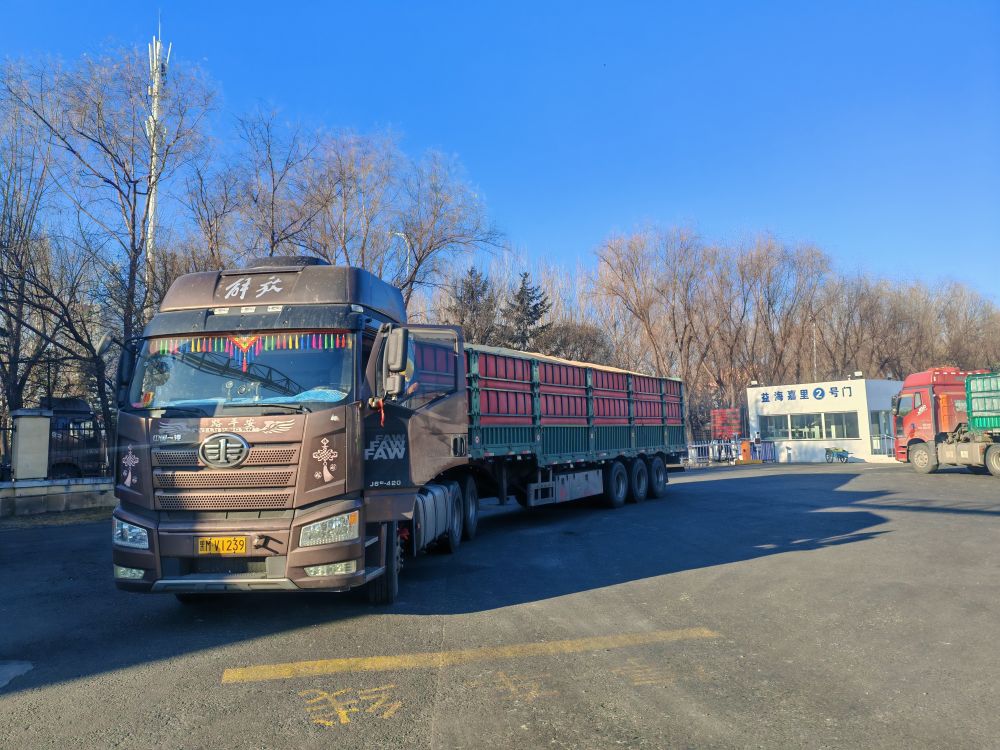 寒潮持续 多地多措并举保民生