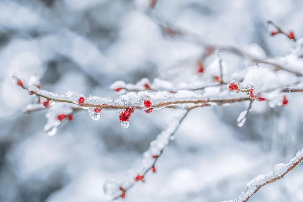 今日冬至，要做这些事！