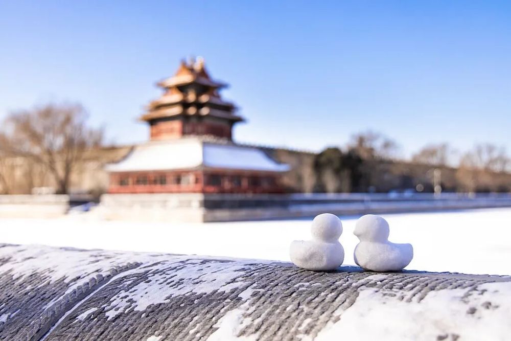 今日冬至，要做这些事！