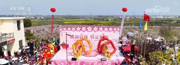 赏花观鸟游“催热”春日经济 以生态优势为媒激活多元业态“新”活力