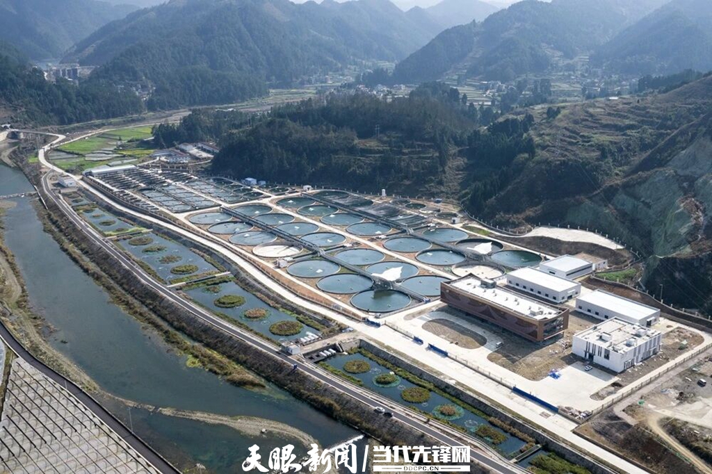 记者观察 | 贵州的鱼,凭什么“跃”出了国门?